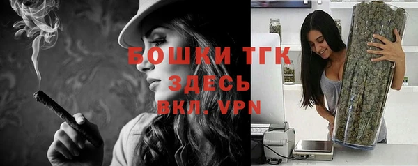 индика Абинск