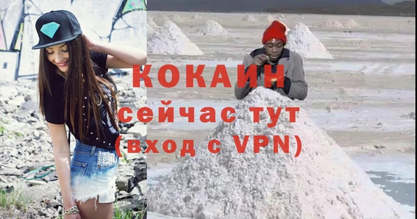 индика Абинск