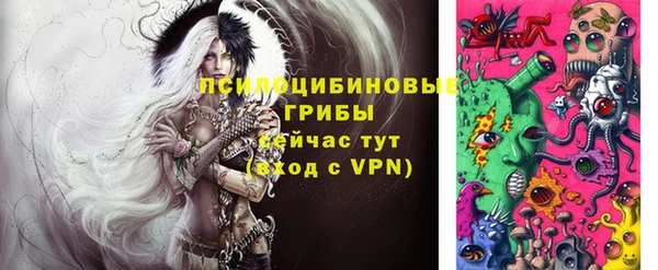 индика Абинск