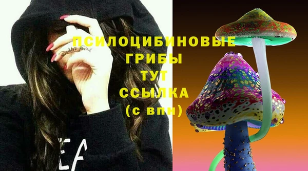 мяу мяу мука Алзамай
