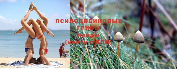 гашиш Абаза