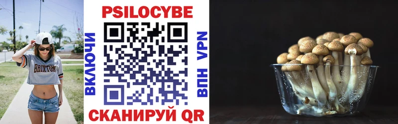 Галлюциногенные грибы Psilocybe купить Харабали
